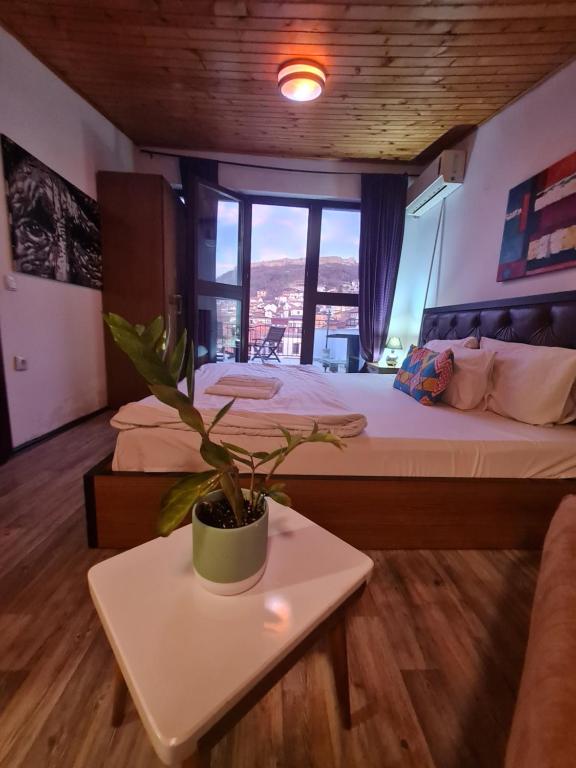 Guesthouse Hotel My Home - Suite With Terrace