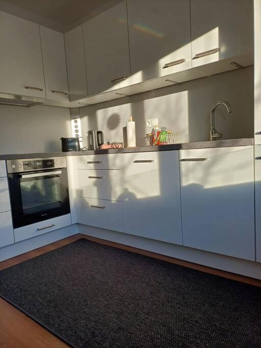 Kuchyň nebo kuchyňský kout v ubytování Ruhige Stadtwohnung, 107 m2