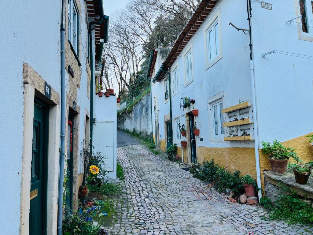 an alley in an old town with white buildings at Casinhas da Calçada de Santiago - pet friendly, garage and with stairs in Tomar