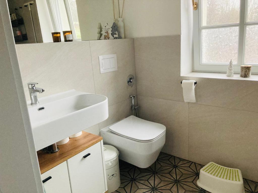 Koupelna v ubytování Soví Hnízdo Apartment De Luxe