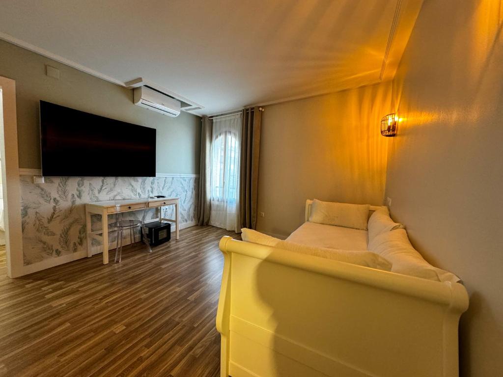 TV a/nebo společenská místnost v ubytování Hotel Plaza Mayor