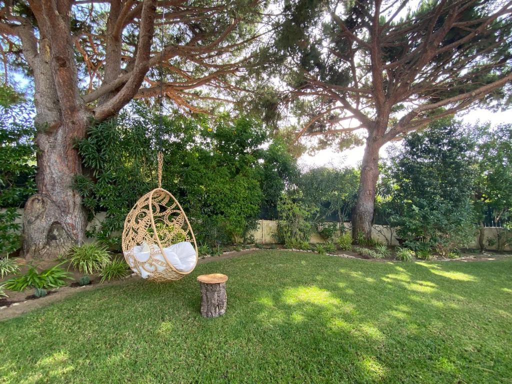 Zahrada ubytování Beach villa Casa de Amanhã 450 mts to the beach with beautiful garden and heated saltwater pool