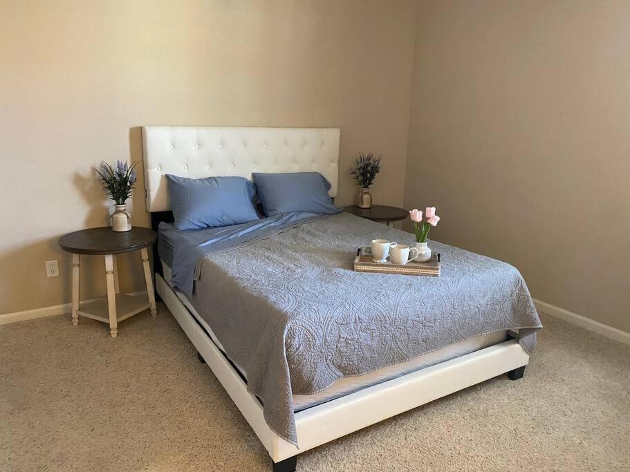 a bedroom with a bed with blue pillows and two tables at Spacious & Sunny South Reno Home, Near Trails & Shopping 3 beds in Steamboat