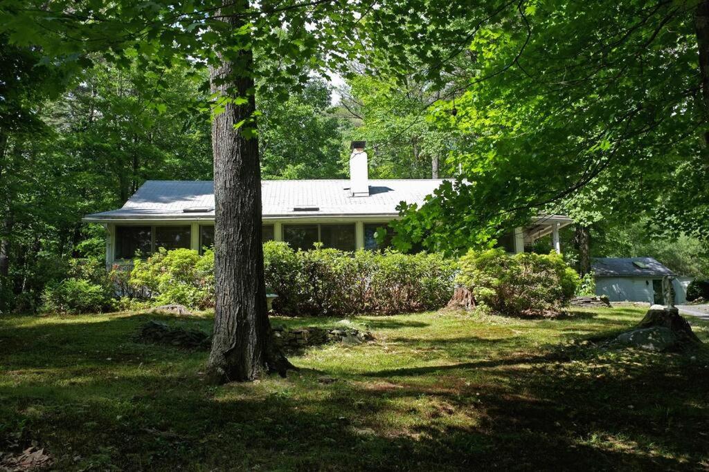 une maison au milieu d'une cour avec un arbre dans l'établissement Enchanted Woodstock Cottage with hot tub, 