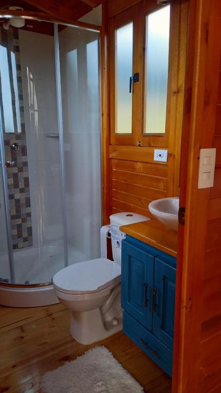 Koupelna v ubytování Hotel Reserva Campestre LA CABAÑA GLAMPING