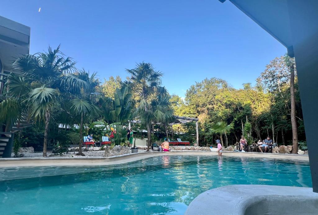 莫雷洛斯港的住宿－Hokhmah Heart Hotel，一座拥有蓝色海水和棕榈树的游泳池
