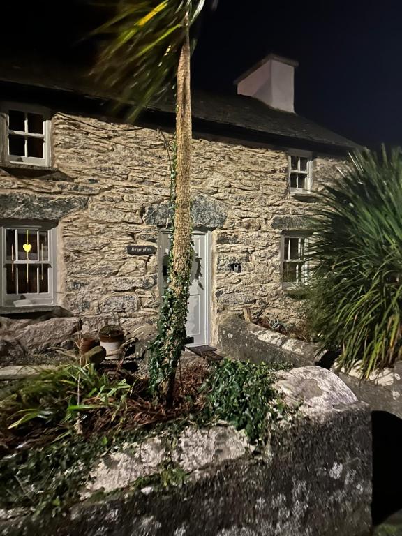 a stone house with a palm tree in front of it at Brynglas Cottage with Hot Tub, Anglesey. in Llanfachraeth