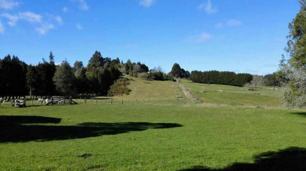 Amazing Lakeview Loft - Resim 16