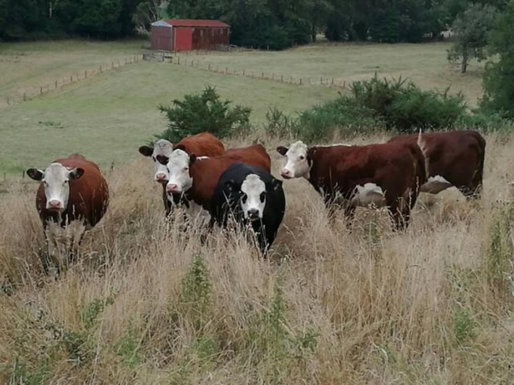 Amazing Lakeview Loft - Resim 17