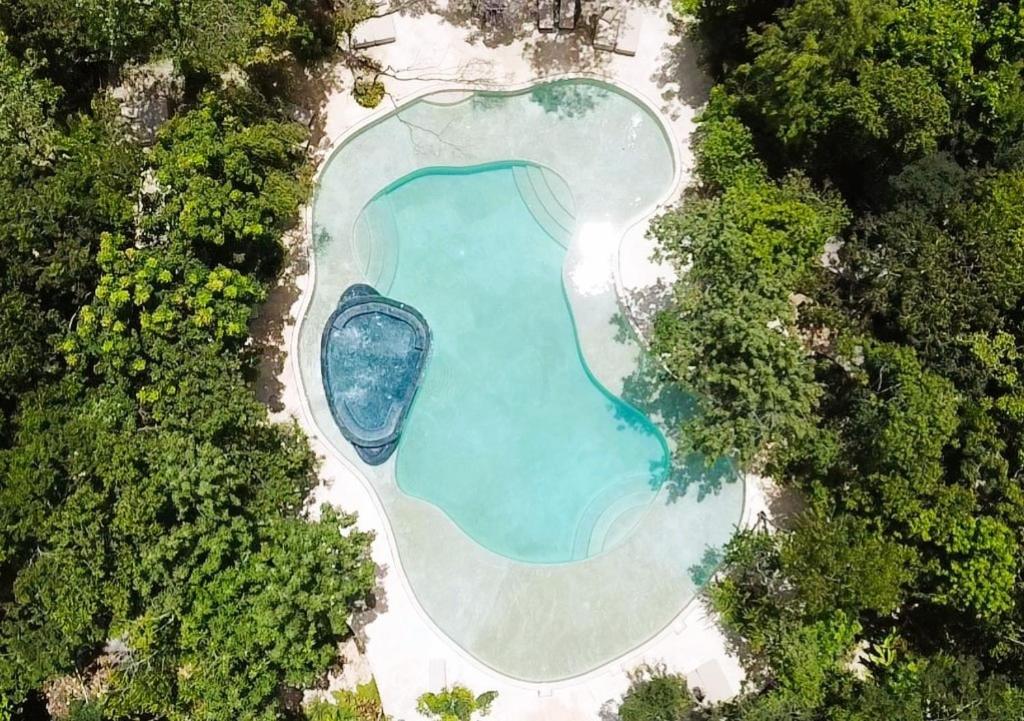una vista aérea de una piscina en un bosque en ANANA Yaaxlum 105 s, en Tulum