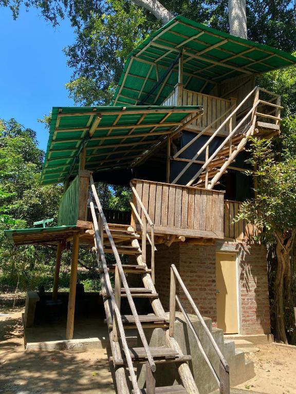 Fotografie z fotogalerie ubytování Forest Tree Top Holiday Resort v destinaci Buttala