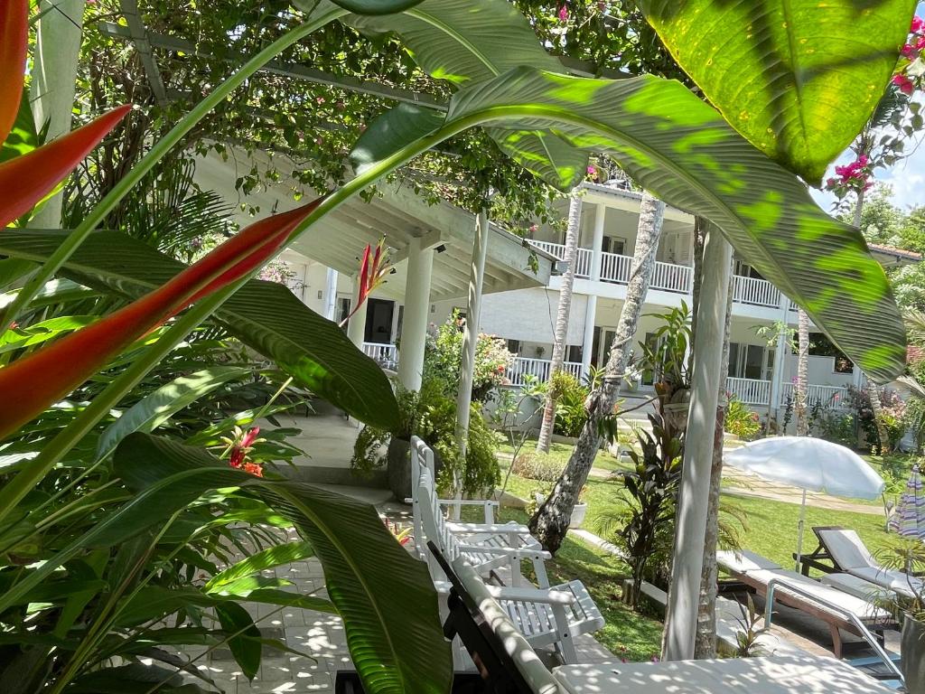 Zahrada ubytování Plantation House