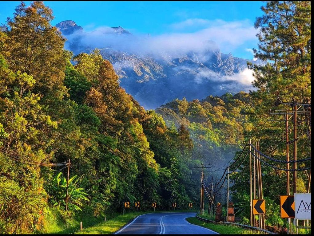 a road in the middle of a forest with a mountain at Ayana Holiday Resort in Kundasang