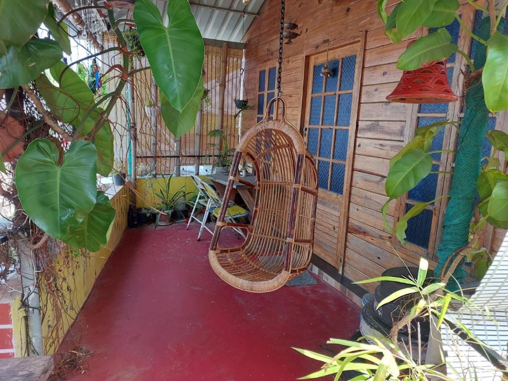 Zahrada ubytování Niyanest Holidayhome