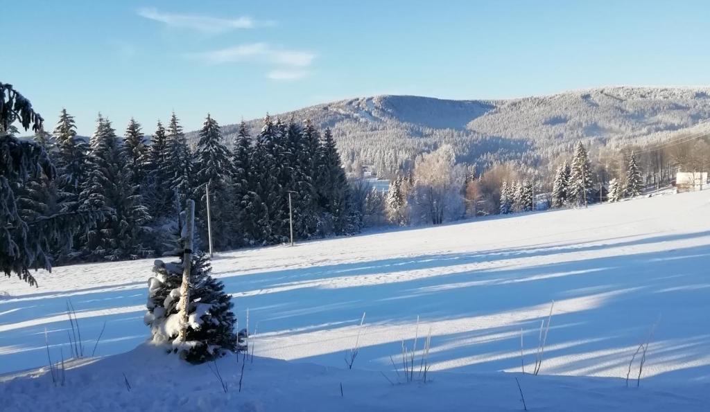 Apartmány Julinka v zimě