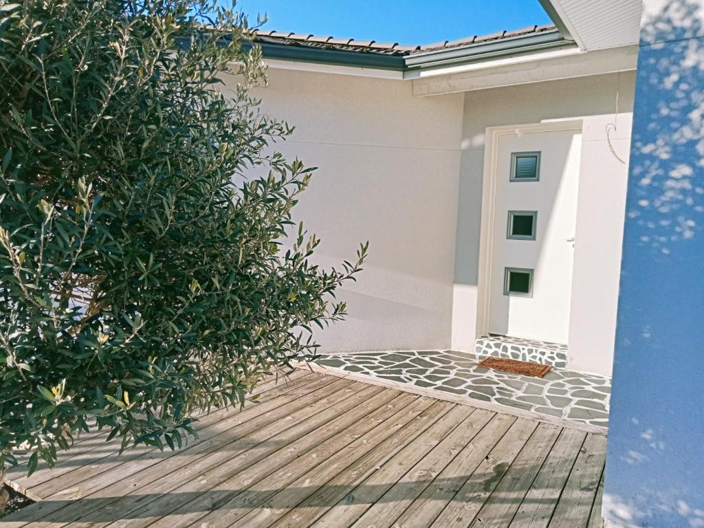 Cette maison est dotée de parquet et d'un arbre. dans l'établissement Comme à la maison, à Sainte-Hélène