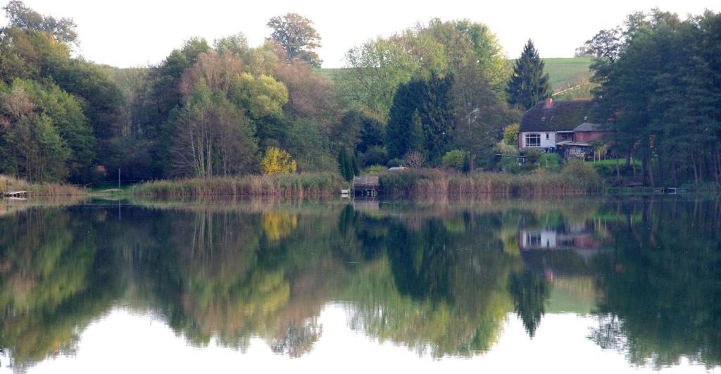 a view of a lake with trees and a house at Ferienwohnung Haus am See in Ulrichshusen