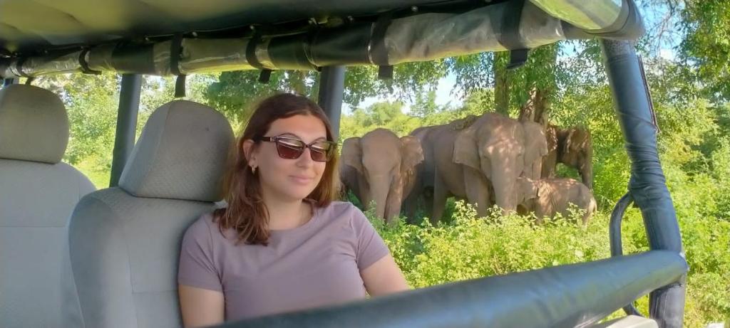 a woman sitting in a vehicle in front of some elephants at Green Star Safari Home in Udawalawe