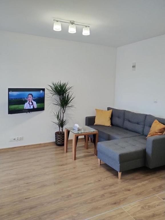 sala de estar con sofá y TV en la pared en Apartament Sunset Leszno, en Leszno