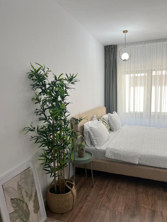 a bedroom with a bed and a potted plant at Cloud 9 Studios in Piatra Neamţ