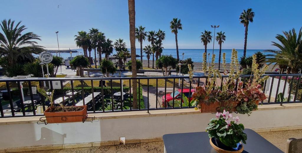 a balcony with a view of the beach and palm trees at Beach panorama Caleta in Caleta De Velez