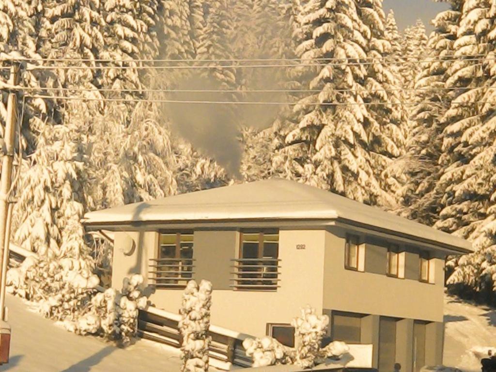 Apartmánový domček Michal في اورافسكه لسنه: منزل مغطى بالثلج أمام غابة