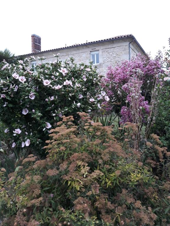 un jardin avec des fleurs roses et violettes en face d'une maison dans l'établissement gîte Les Iris 3 étoiles 47 RUFFIAC, à Ruffiac