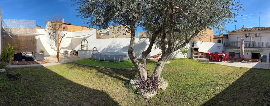 un árbol en un patio al lado de un edificio en Casa Miravent, en Bellvei del Penedes