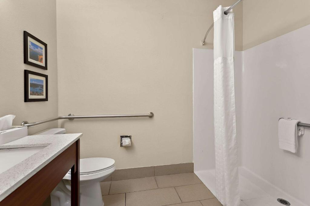 Comfort Suites University photo