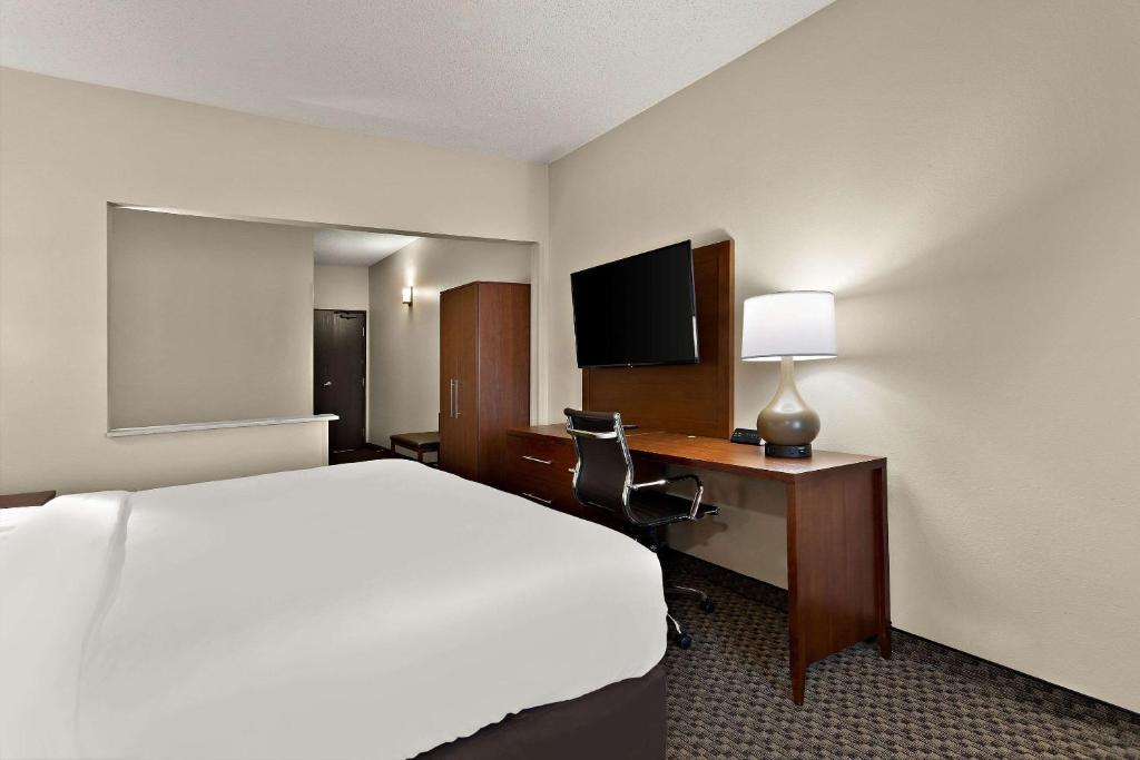 Comfort Suites University photo