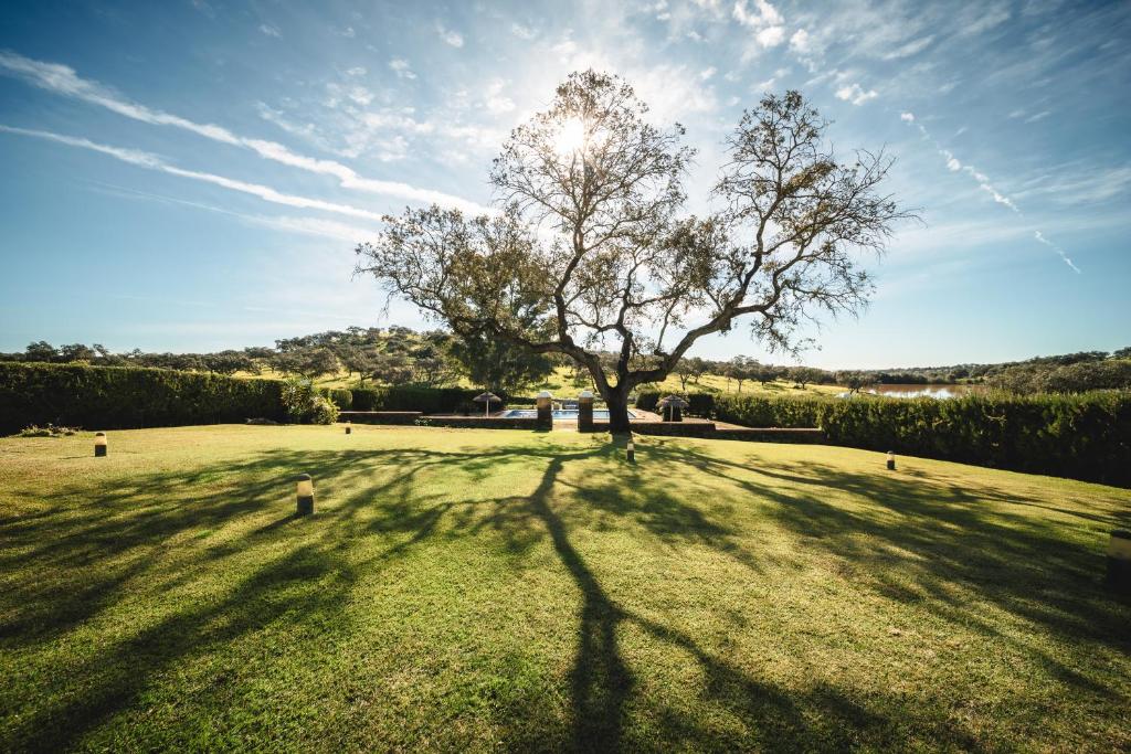 Alojamiento Rural Finca Barral - 14