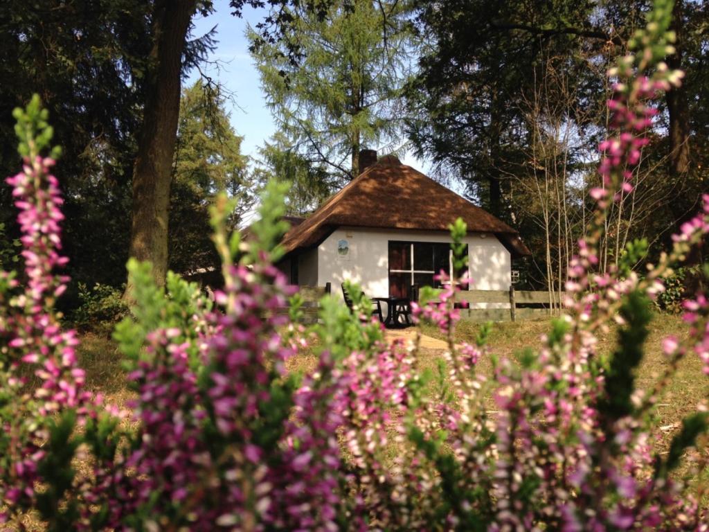 a house in the middle of a field with pink flowers at Tiny House de Berken in Otterlo