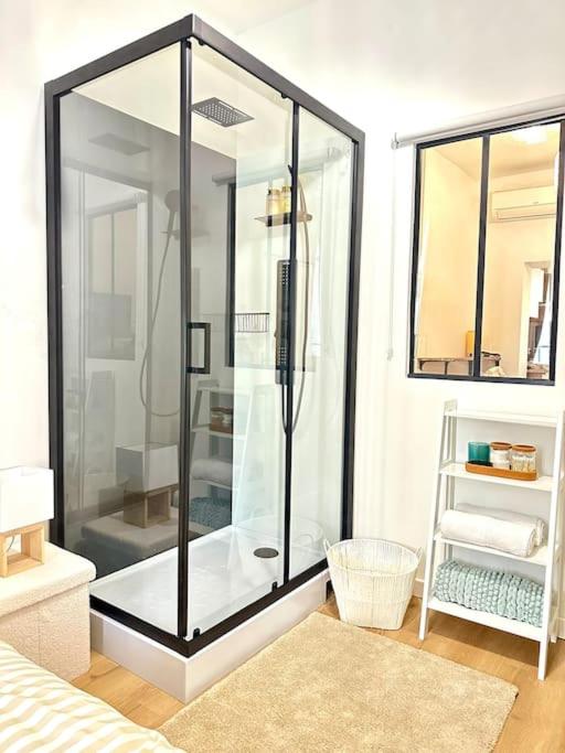 - une douche en verre dans une chambre avec une étagère dans l'établissement Appartement Avignon Intramuros avec jardin et barbecue, à Avignon