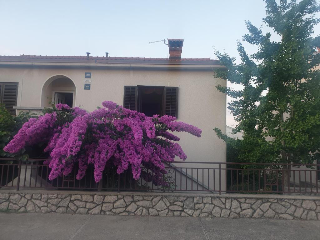 un montón de flores púrpuras colgando sobre una valla en Apartments Mara, en Mali Lošinj