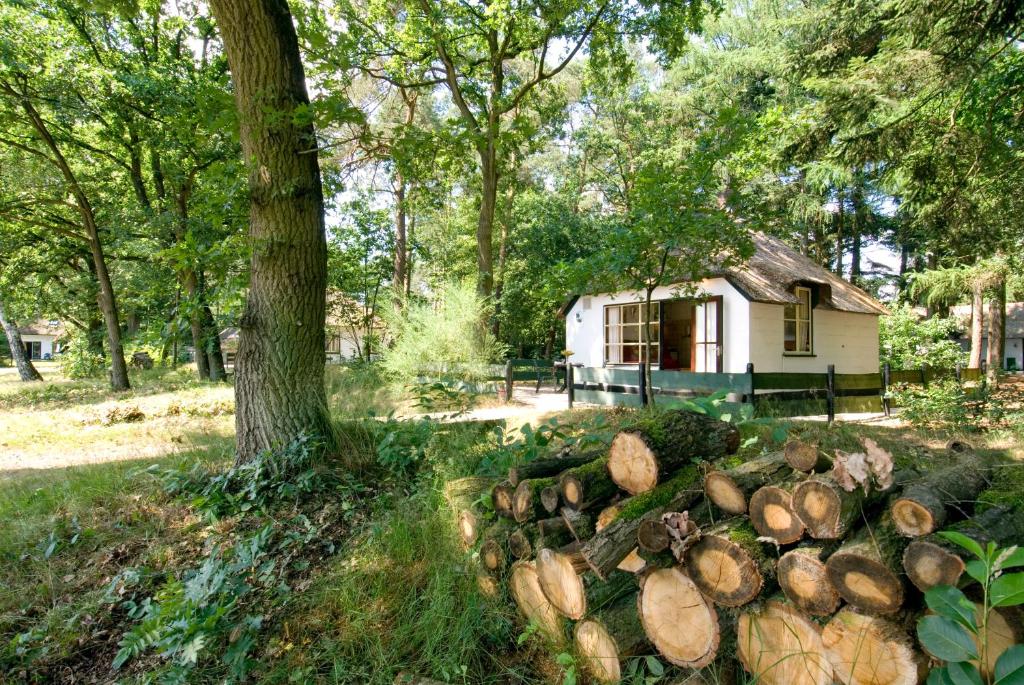 una pila de troncos delante de una cabaña en Tiny House de Berken en Otterlo