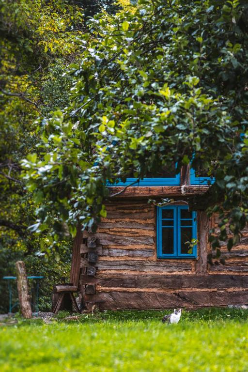 Zahrada ubytování Casa Strâmbă