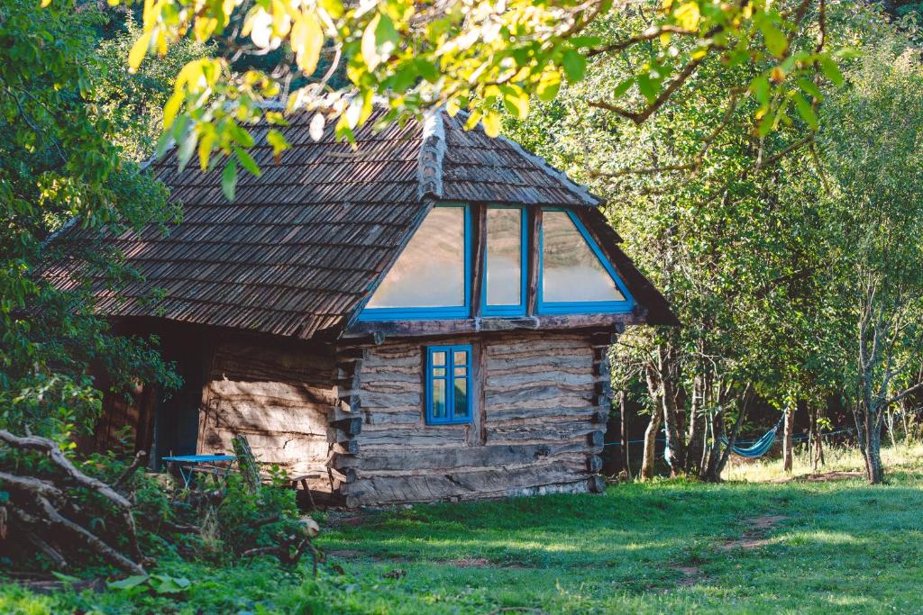 Zahrada ubytování Casa Strâmbă