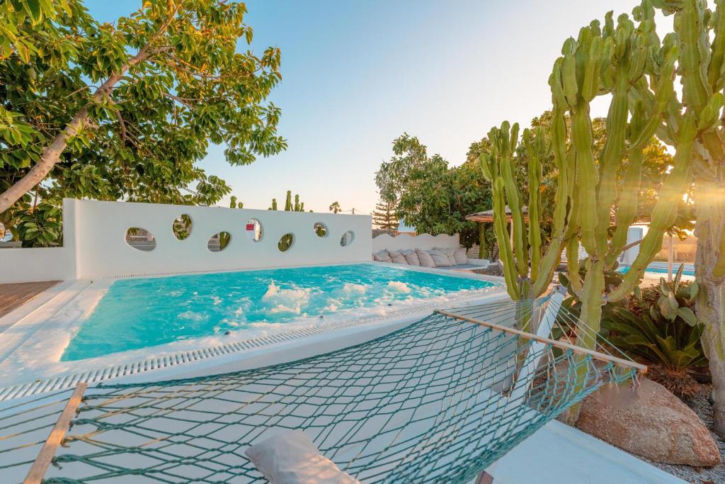 a swimming pool in a backyard with a cactus at La Stella Stay in Glastros