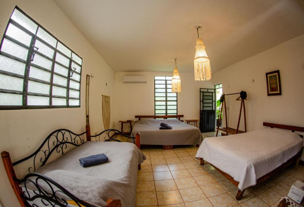 a bedroom with two beds and two windows at Bleibe- Quédate! in Bacalar
