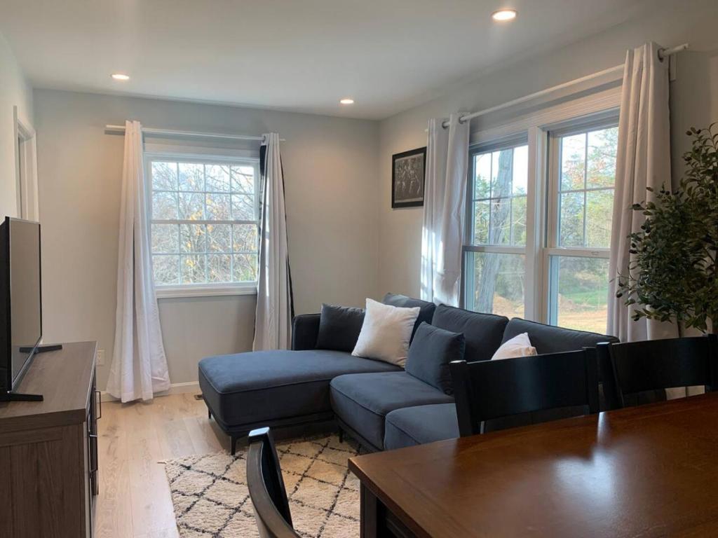 a living room with a blue couch and two windows at Silver Spring Serene 2BR 2BA, Nature And Access in Silver Spring