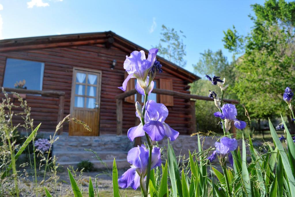 una cabaña de madera con flores púrpuras delante de ella en Kpriccio Cabanas en Potrerillos