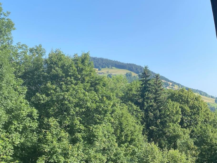 a group of trees on a hill with a field at Family cocoon Prime Rochebrune location in Megève