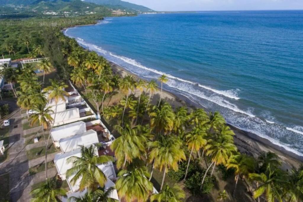 una vista aérea de una playa con palmeras en *NEW CampoMar Beachfront 2Bdrm Villa in Arroyo, en Arroyo