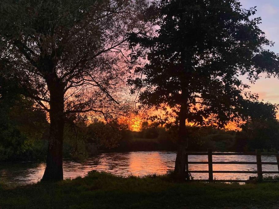 duas árvores em frente a um rio ao pôr do sol em River Avon Retreat - A Rustic Gem On The Riverbank em Fordingbridge