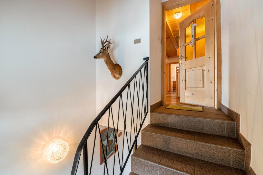 Fotografie z fotogalerie ubytování Ferienwohnung Toni II v destinaci Siusi