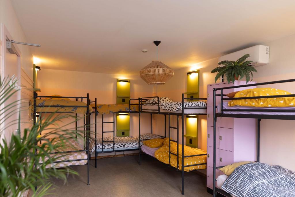 hostel-ani-haakien-rotterdam-bijgewerkte-prijzen-2025