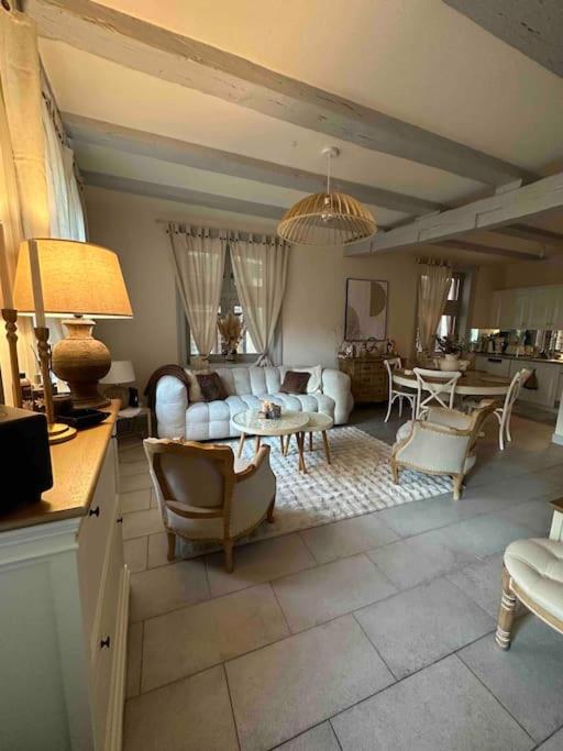 un salon avec un canapé et une table dans l'établissement Limoges Centre Appartement de Charme, à Limoges