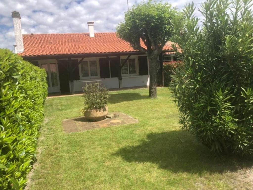 una casa con un patio verde con un árbol en Agréable maison à 400m du lac en Sanguinet