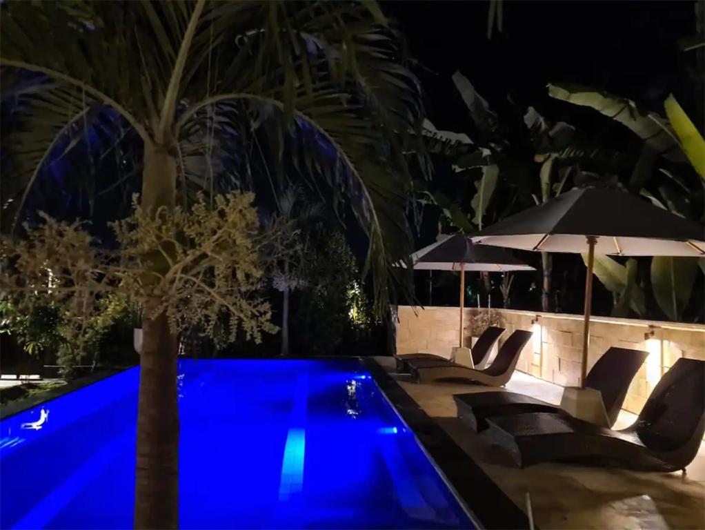 a blue swimming pool with chairs and umbrellas at night at Villa Aurora Lovina in Lovina