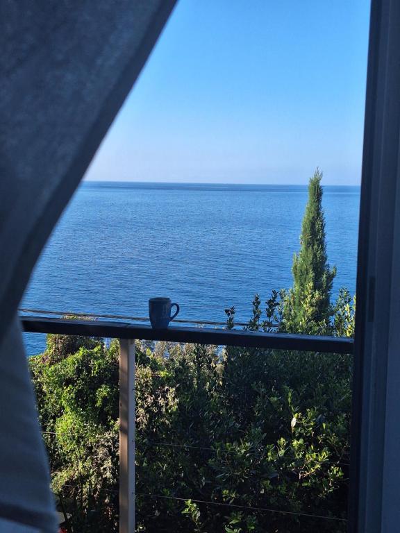 a view of the ocean from a window at SunnyDay House in Masline